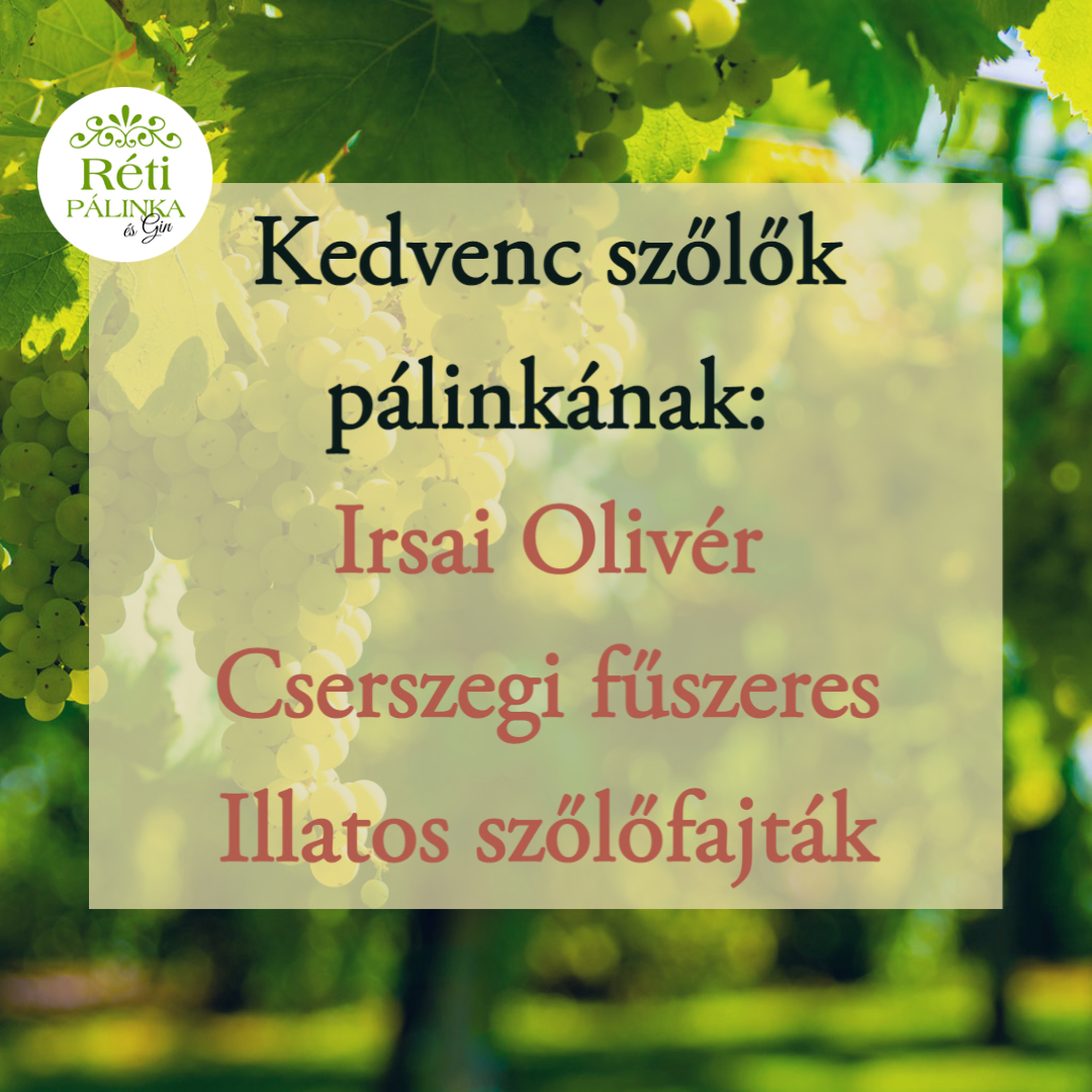 Kedvenc szőlő pálinkának az Irsai Olivér szőlő