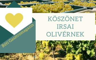 Irsai Olivér, rendhagyó szőlőismertető