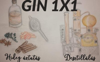 GIN 1X1: Mi a GIN? Hogy készül?