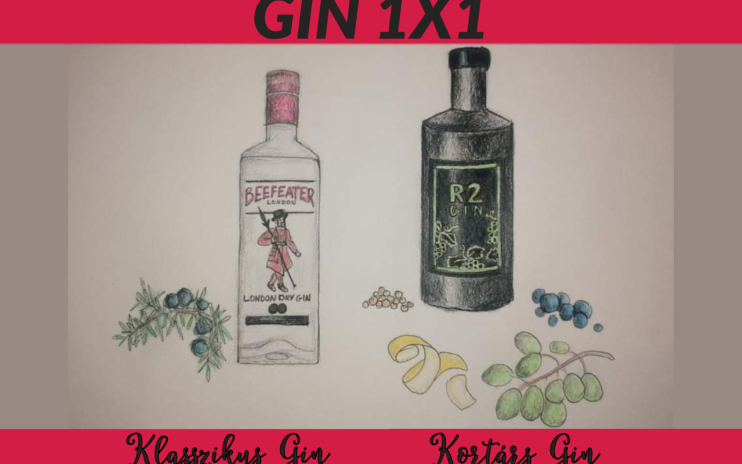 GIN 1X1 Klasszikus kontra Kortárs Gin