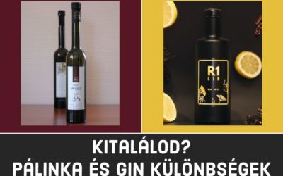 Kitalálod? Pálinka és Gin – Mi a különbség?