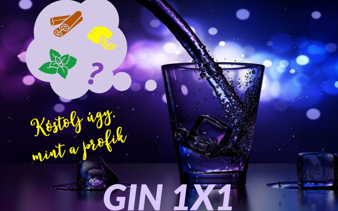 GIN 1X1 Ginkóstolás: Kóstold a gint profi módon