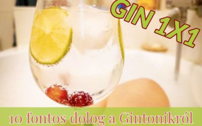 10 fontos dolog a Gintonikról