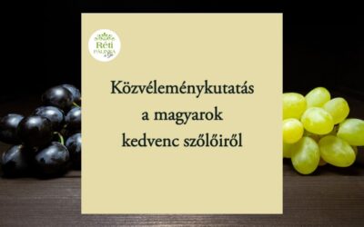 Közvéleménykutatás a magyarok kedvenc szőlőiről